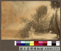 藏品(Jaluit Island 的原住民家屋)的圖片